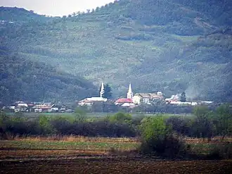 View of Braniștea village