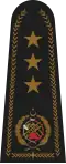 orta