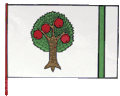 Flag of Šenov u Nového Jičína