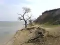 Yalpug lake shore