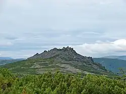 Gorokhovoe Pole