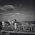 Kfar Monash 1947