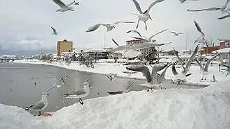Snow in Tonekabon