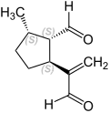 (1S,2S,5S)-(+)-Anisomorphal (B)