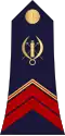 Brigadier (Burkina Faso Ground Forces)[32][33]