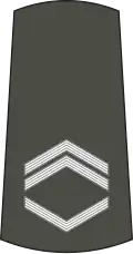 Старији водник Stariji vodnik (Serbian Army)[29]