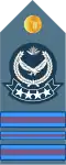 Master warrant officer