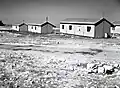 Malkia 1949