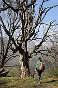 Arfa Deh, Mazandaran, Iran