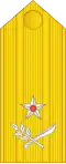 Contralmirante (Nicaraguan Navy)[36]