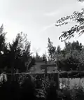 Neot Mordechai 1963