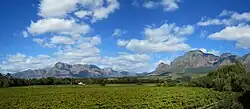 The surrounding area, looking towards De Hollandsche Molen.