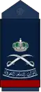 LIWA