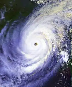 Satellite image of a well-organized cyclone with an eye and well-defined rainbands