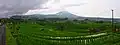 Jatiluwih rice terrace in Bali, Indonesia.