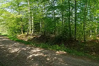 The remains of the slag heap
