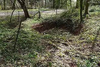 Remains of fence around the well