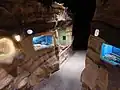 mammal sanctuary