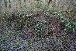 Masonry ruins of the winch.