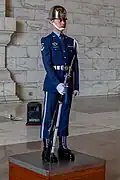 Guard in the main chamber