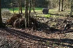 The Ghautier well.