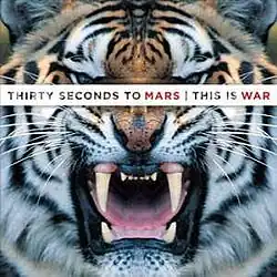 The tiger feels angry closer to the screen logo above his front of the eyes.
