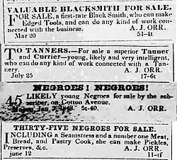 Newspaper clipping