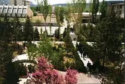 Trees from various species are present throughout the campus grounds.