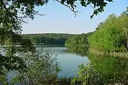 Ouachita River in the Ouachita National Forest