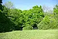 Marline Valley Woods