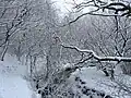 Near Fulneck golf course, in winter