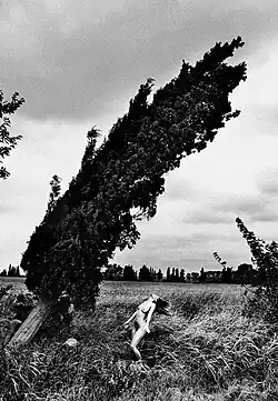 Accession, 2009