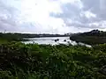 Adyar Creek at Foreshore Estate