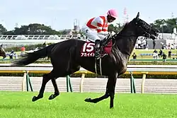 Akai Ito