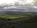 Kiswah farms