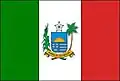 Flag of Barra de São Miguel