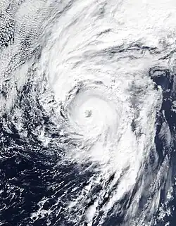 Satellite image of a well-defined hurricane near the Azores on January&nbsp;14