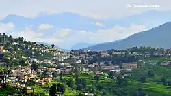 Almora, 2013