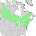 A. incana subsp. rugosa range
