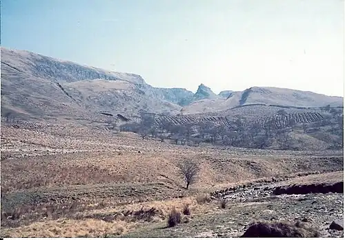 Image from 1974