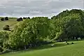 Eaglehead and Bloodstone Copses