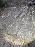 Ripplemarks