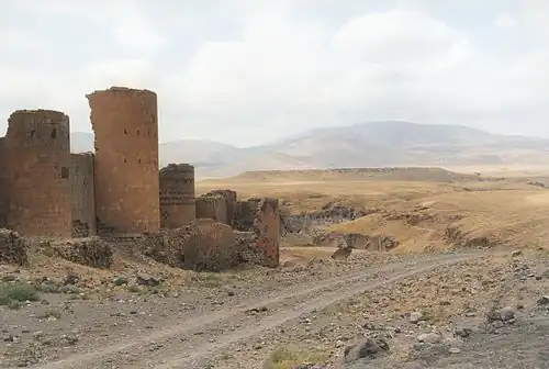The walls of Ani.