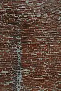 texture of maquette