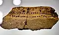Horgen culture, fragment of ceramics, Kleiner Hafner