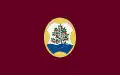 Flag of Arenys de Mar