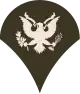 Specialist