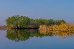 Astrakan Reserve, Vodolarsky District