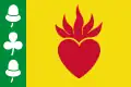 Flag of Augustinusga