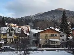 Houses in Azuga